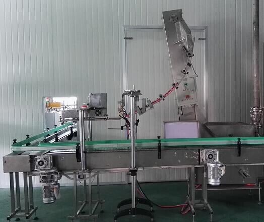 自動理蓋上蓋機(jī)